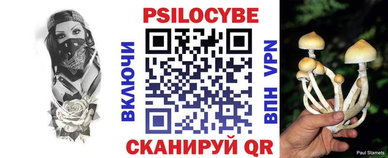 Купить где  Чердынь  Псилоцибиновые грибы мицелий 
